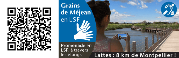 QR code application Grain de Méjean LSF
