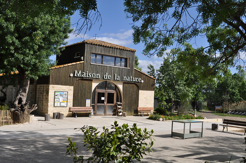 Exposition “Serpents, du mythe à la réalité”