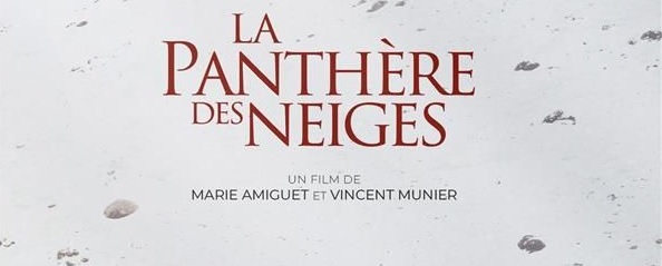 Ciné-club Théâtre – « La Panthère des Neiges »
