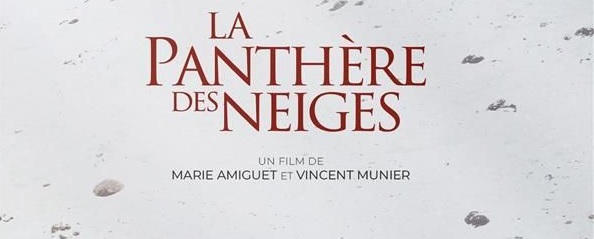 Ciné-club Théâtre – « La Panthère des Neiges »
