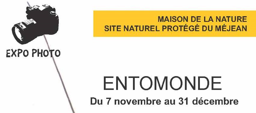 Expo photo : « ENTOMONDE »