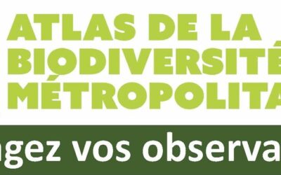 Participez à l’atlas de la biodiversité