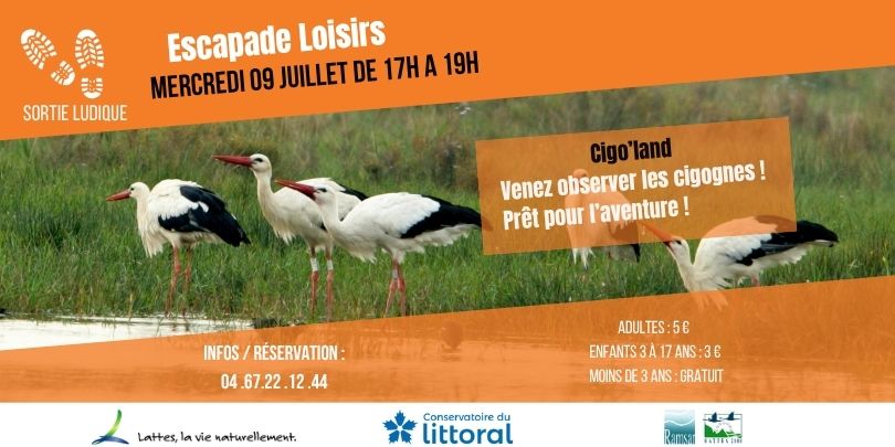 Sortie Ludique – Escapade Loisirs : Cigo’land