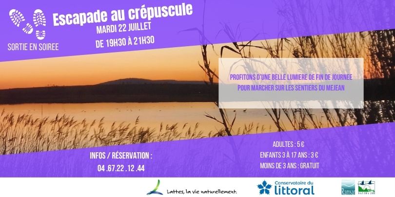 Sortie en soirée – Escapade au crépuscule