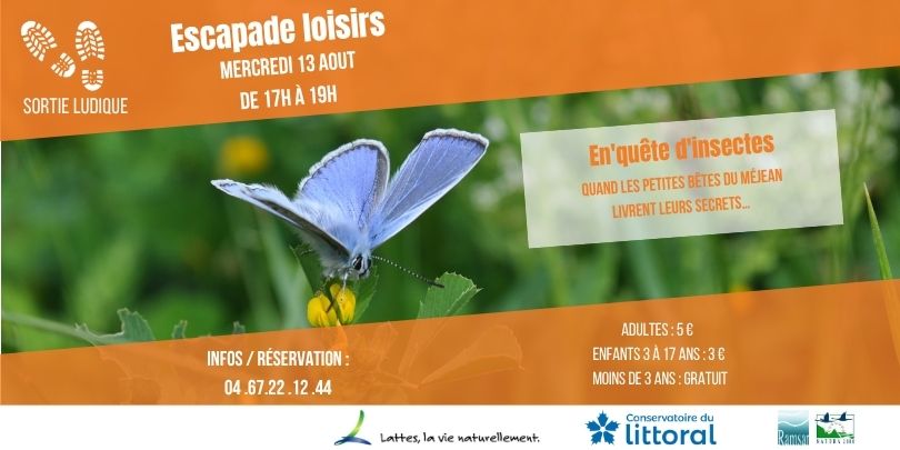 Sortie Ludique – Escapade Loisirs : En quête d’insectes