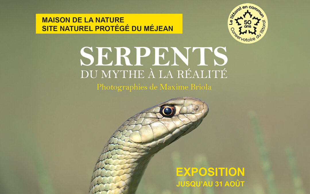 Expo serpents