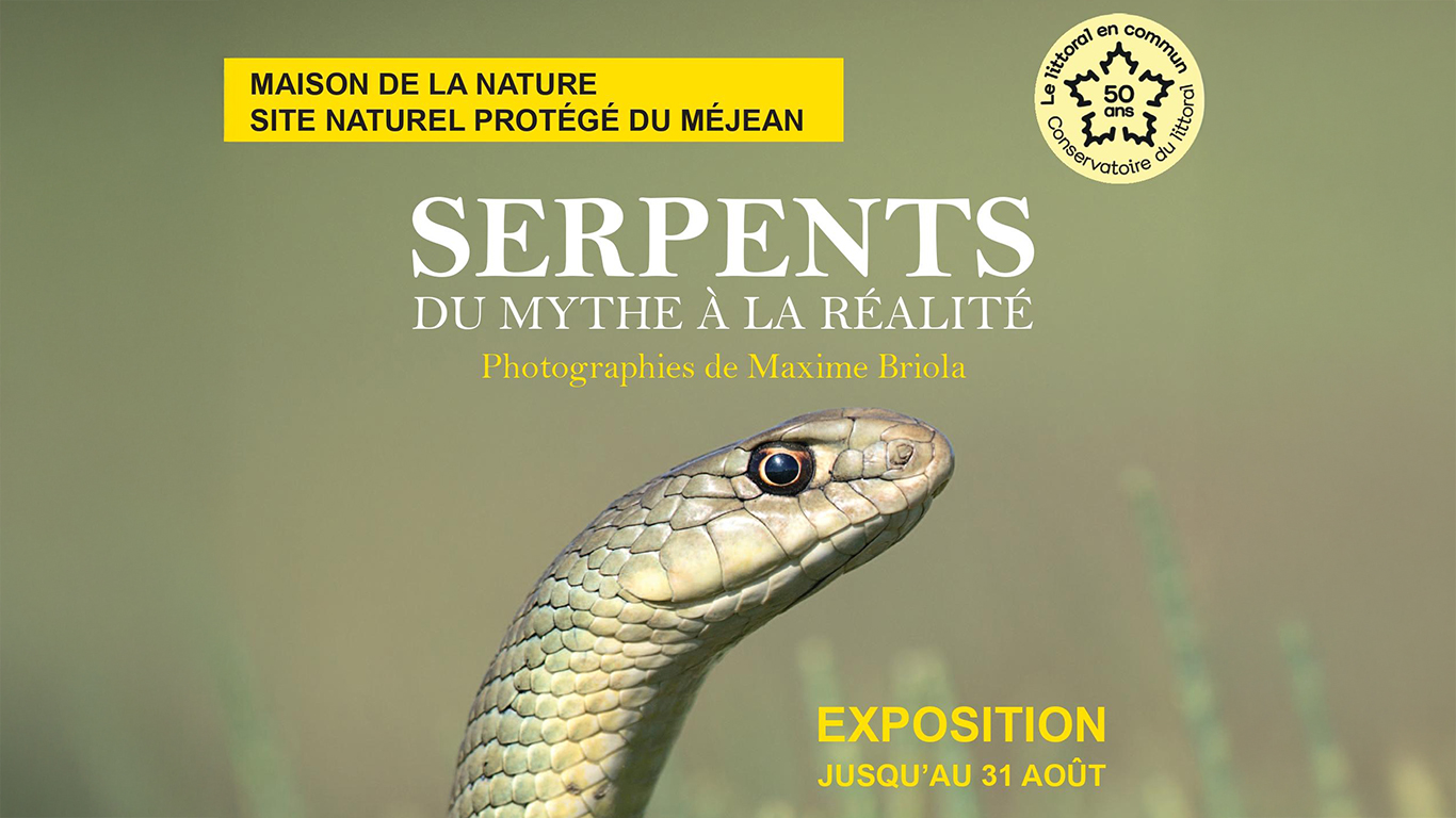 Exposition “Serpents, du mythe à la réalité”