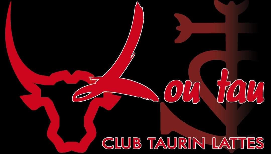 Toro piscine / paille