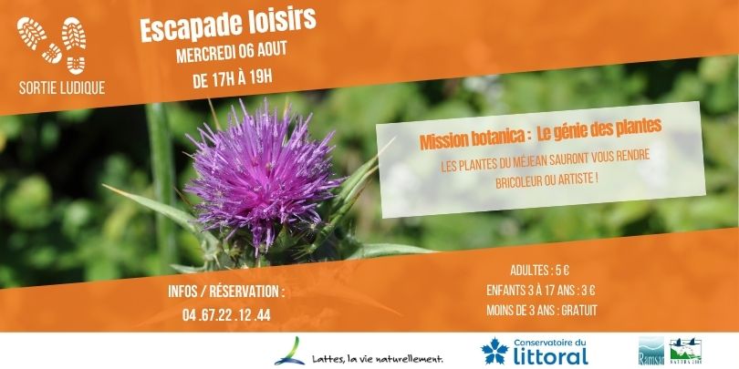 Mission botanica 06.08.25