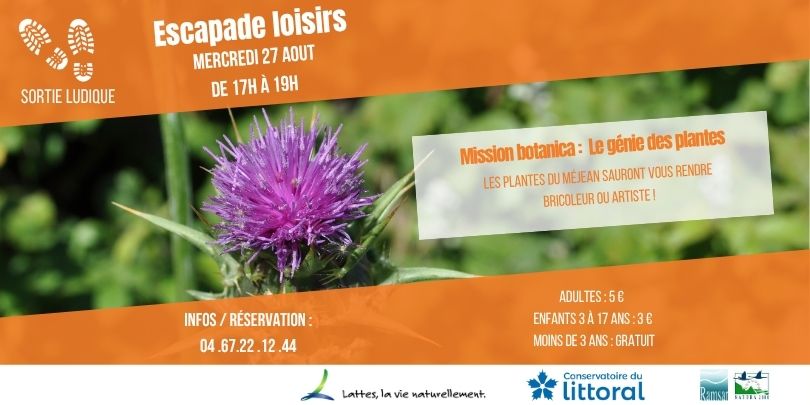 Mission botanica 20.08.25