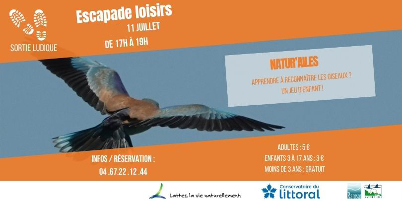 Sortie Ludique – Escapade Loisirs : Natur’ailes
