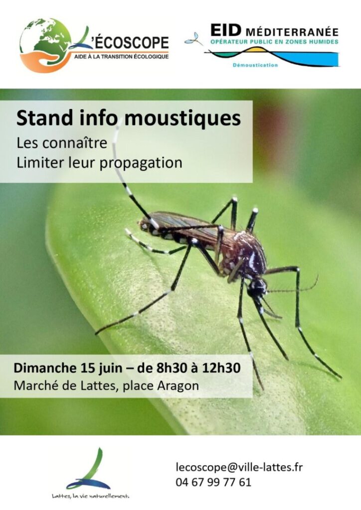affiche moustiques 15 juin