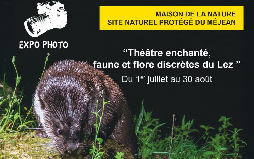 exposition photo maison de la nature