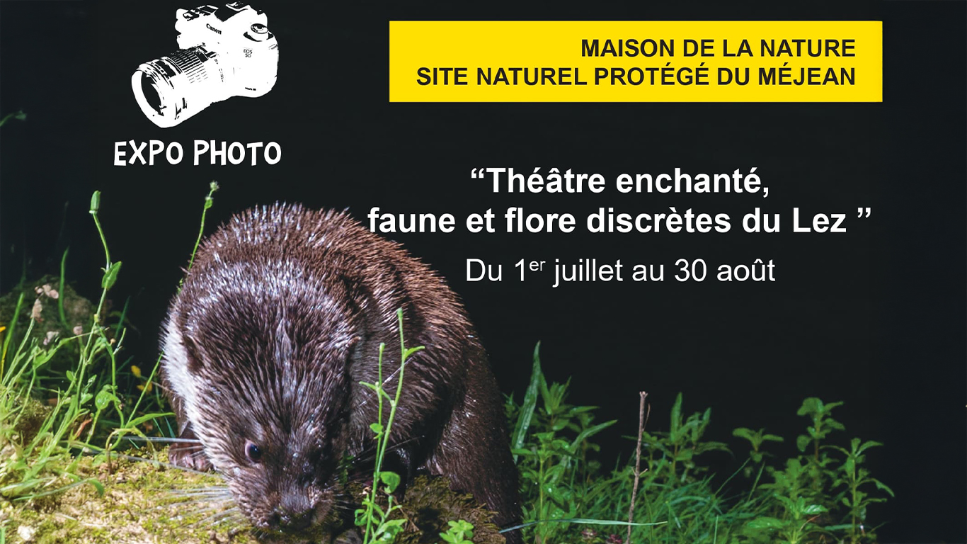 Exposition photo – Théâtre enchanté, faune et flore discrètes du Lez