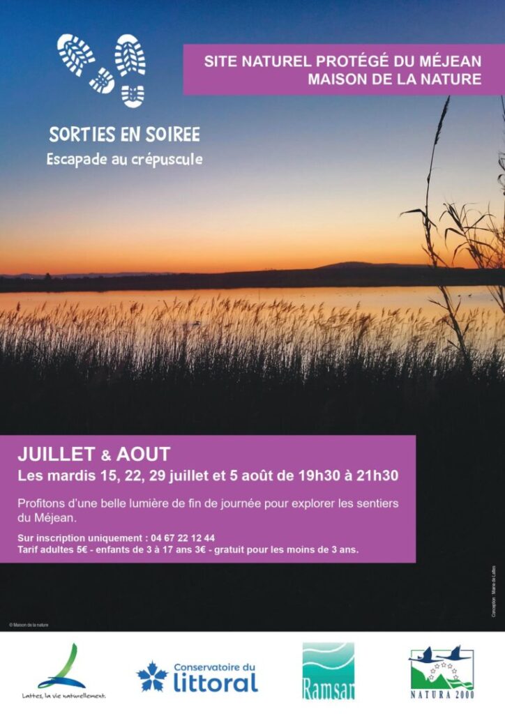 sortie en soirée - escapade au crépuscule