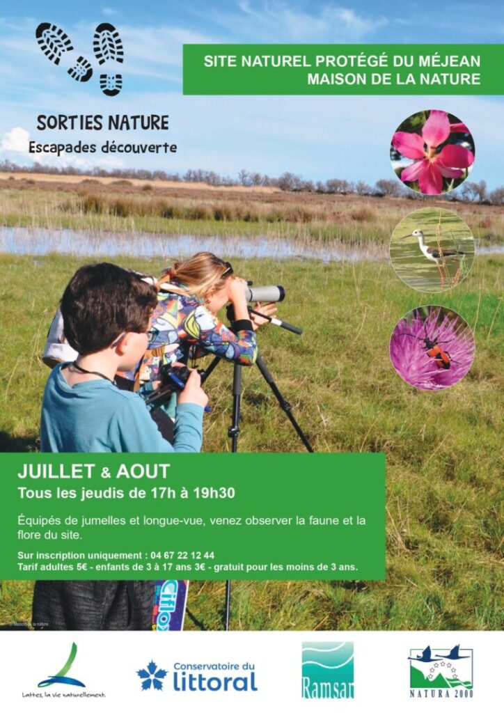 sorties nature - escapades découverte