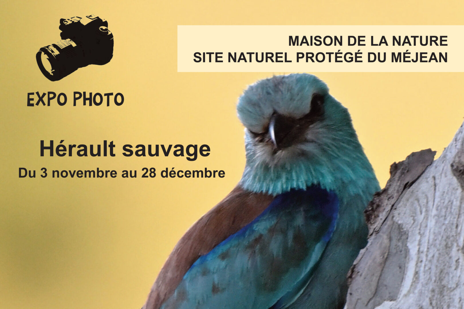 Exposition : “Hérault Sauvage”