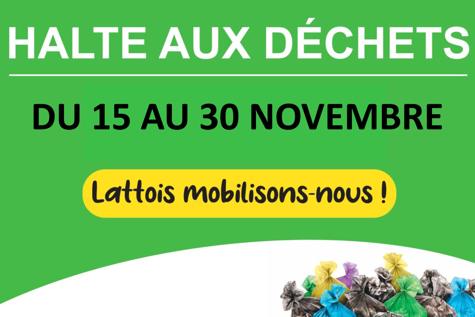 Ramassage de déchets citoyens