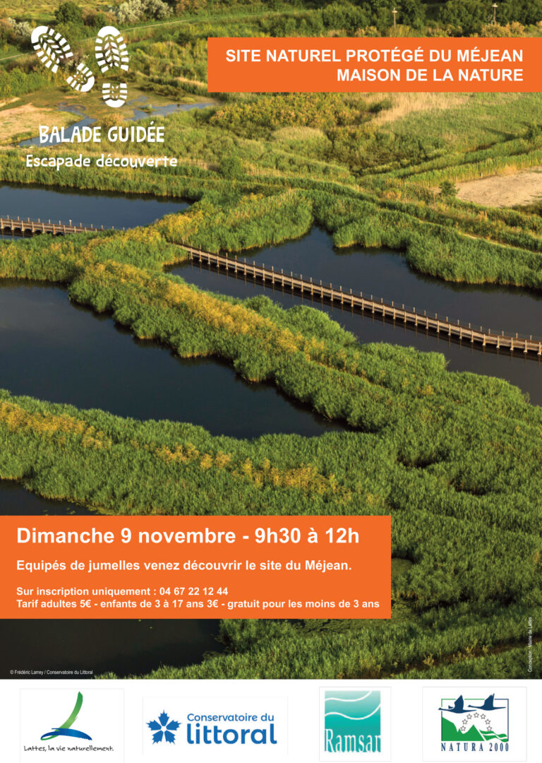 Balade Guidée : Escapade Découverte
