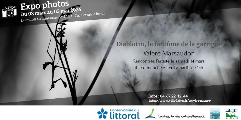 Exposition photographique : « Diablotin, le fantôme de la garrigue »