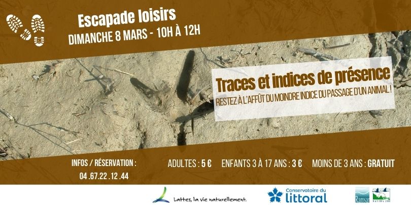 Escapade loisirs : Traces et indices de présence