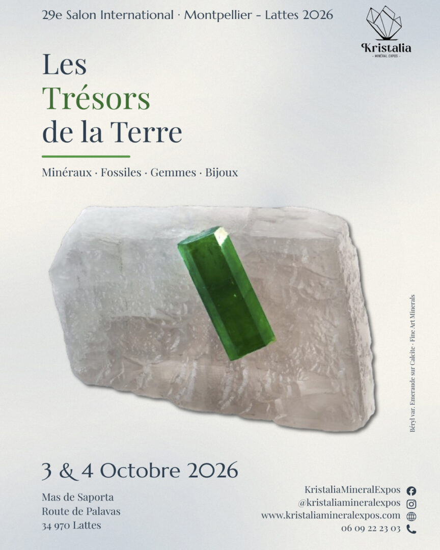 29e Salon International « Les Trésors de la Terre »